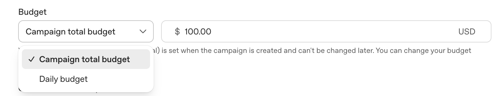 Budget field set to campaign total budget of 100 dollars